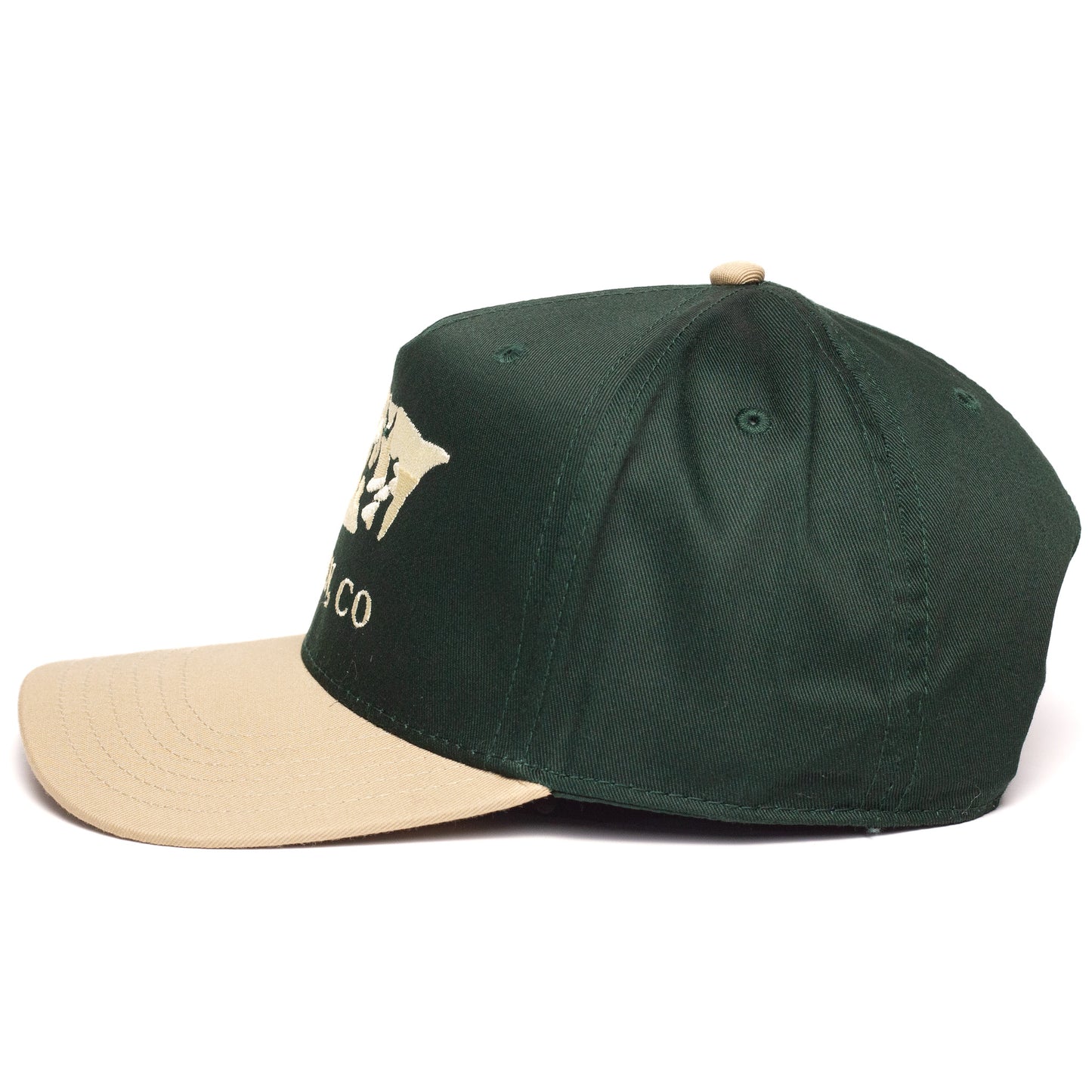 Aspen Snapback