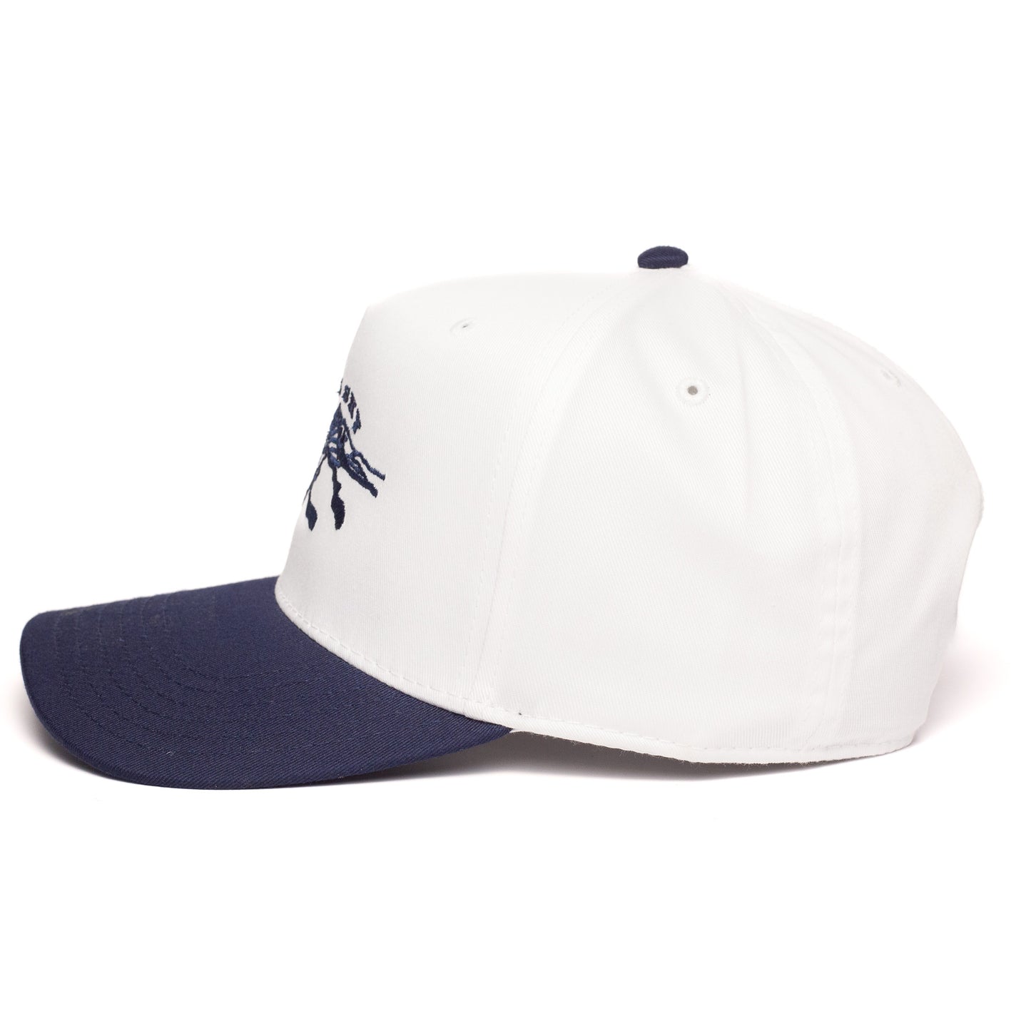 Big Sky Snapback