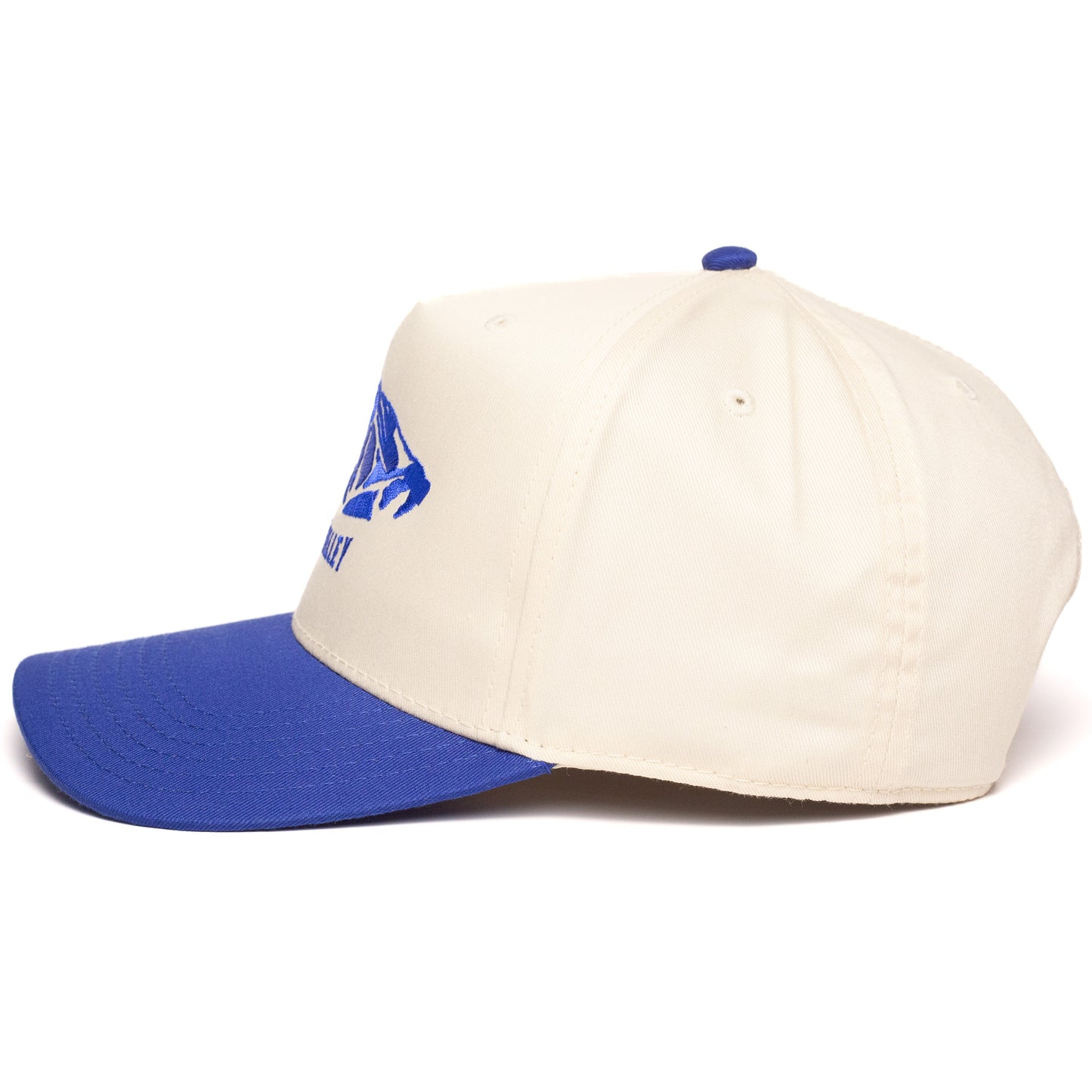 Sun Valley Snapback