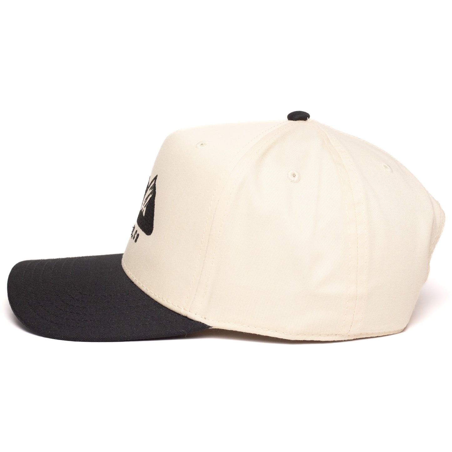 Boulder Snapback