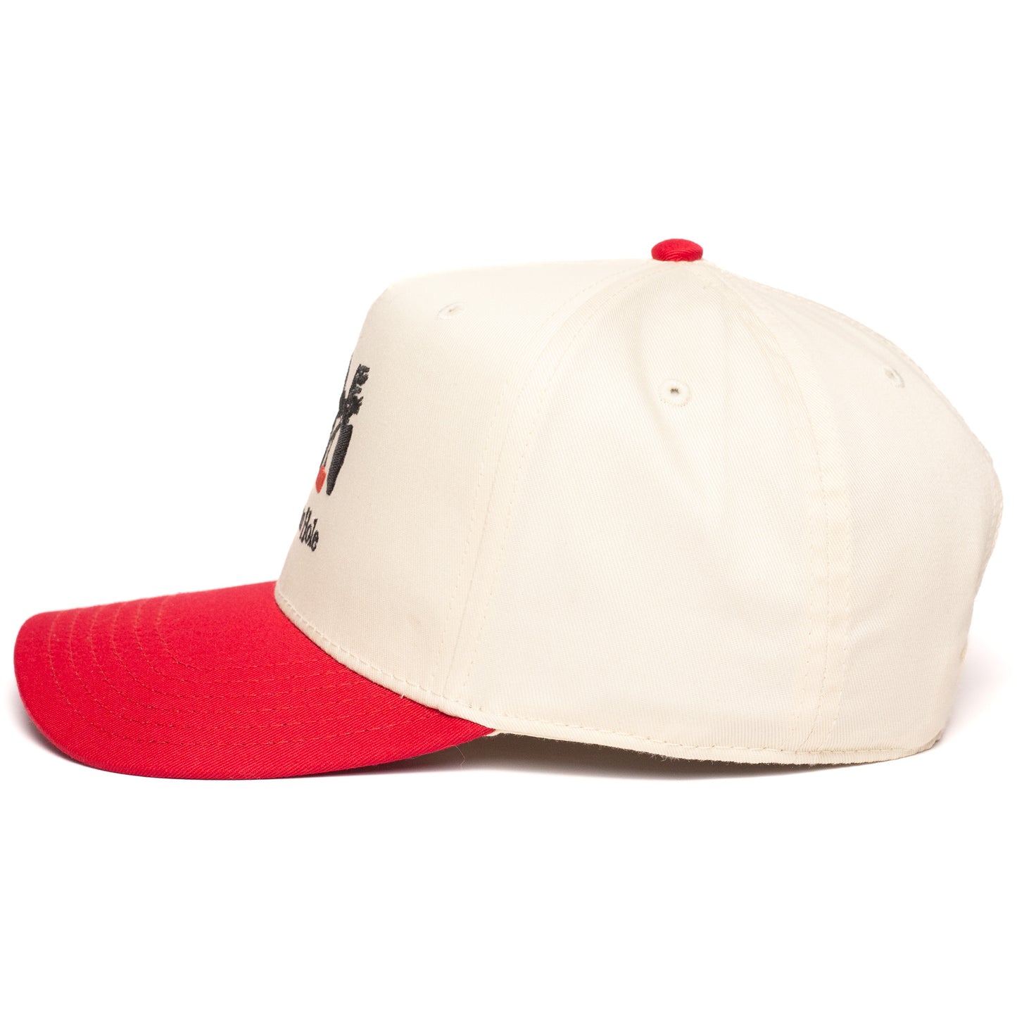 Jackson Hole Snapback