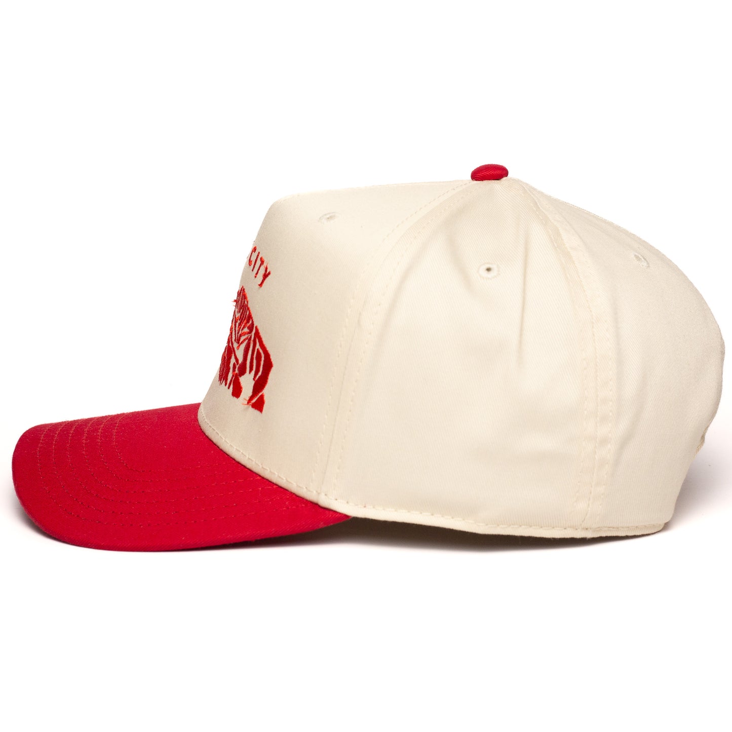 Park City Snapback