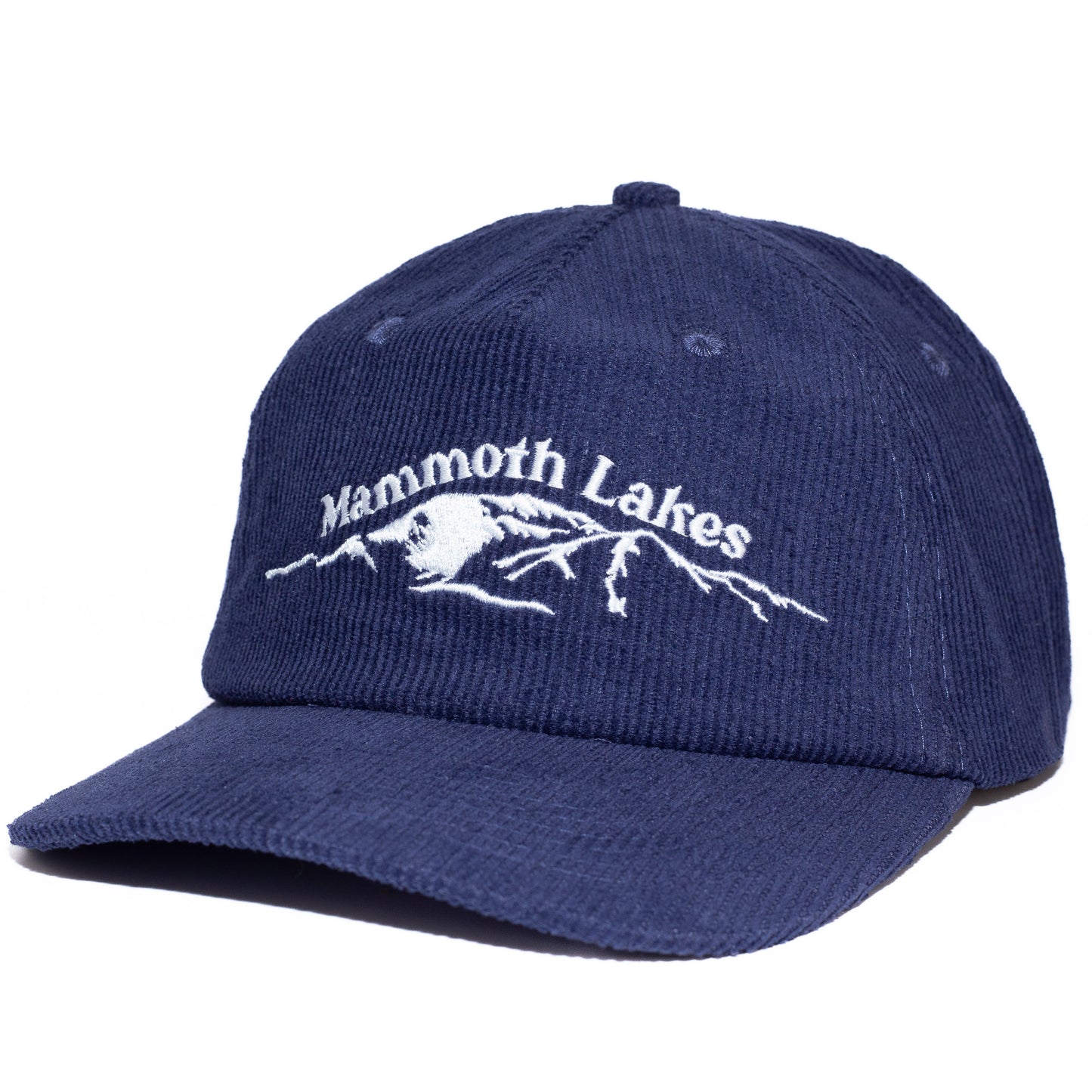 Mammoth Lakes Cap - Navy